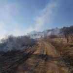 VIDEO: Incendiu de vegetație uscată în Alba Iulia