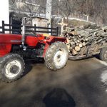 Hoții de lemne din Brașov, amendați cu 30.000 de lei, într-o singură zi