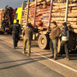 Amendă de 40.000 de lei pentru doi vasluieni care transportau lemne fără documente legale, în județul Galați
