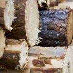 Firmă din Gheorgheni amendată pentru că vindea lemn fără documente