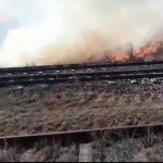 Bărbat ars într-un incendiu de vegetație uscată din Ploiești