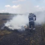 Apelul pompierilor bihoreni către populație: opriți acțiunile de igienizare a terenurilor prin ardere!