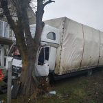 Camion intrat într-un copac, pe un drum județean din Bistrița-Năsăud (FOTO)