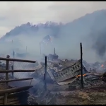 Video Sute de animale mistuite de un incendiu, la Lopătari