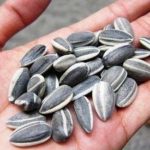 Viceprimarul Daniel Cîrjan: Amenzi usturătoare pentru „spărgătorii de semințe”