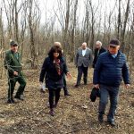 Prefecta Carmen Ichim verifică personal tăierile arborilor din Crâng