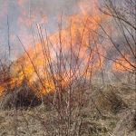 Peste 20 de incendii de vegetație, stinse la Cluj în ultima săptămână