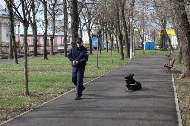 Hoț din Făurei prins cu ajutorul câinelui polițist Vog