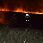 Incendiu de vegetație în Rezervația Insula Mică a Brăilei