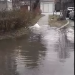VIDEO: Fântână arteziană de „ocazie” între blocuri. O conductă de apă din Petroșani a inundat un întreg cartier