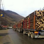 Camioanele cu lemne interzise pe drumurile din Harghita