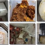 Carne expirată de un an sau ținută în găleți de vopsea găsită de inspectorii OPC în restaurante din Timișoara. Foto si video