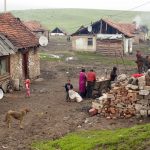 Programele SAM Sfântu Gheorghe, rezultate notabile în rândul comunității rome