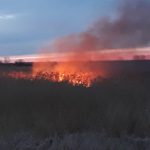 Crește numărul incendiilor de vegetație uscată