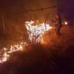 10 incendii pe zi. Pompierii avertizează: nu le mai dați foc