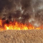 30 de incendii de vegetație în 48 de ore în Prahova