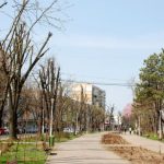 Dragomir: ”Independenței va fi cel mai frumos bulevard din Brăila!”. Primarul are planuri mari în infrastructură!