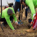 Asociația Pădurea Copiilor va planta 10.000 de copaci în comuna Dragoș Vodă, județul Călărași