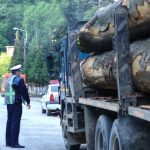 Material lemnos fără documente legale, confiscat de polițiștii bihoreni
