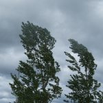 Cod Galben de vânt și ploi la Cluj