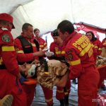 Pompierii militari bihoreni, medici și asistenți ai SMURD Bihor participă la cel mai mare exercițiu medical multinațional din istoria Alianței Nord-Atlantice