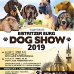 Expoziţia internaţională de frumuseţe canină „Bistritzer Burg DOG SHOW 2019”, între 6 și 7 aprilie, la Bistrița