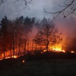 FOTO-VIDEO| Incendiu de pădure, scăpat de sub control. Apelul pompierilor: „Stop arderilor de  vegetaţie uscată!”