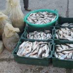 A cumpărat pește stricat de la Buzău dar a fost prins de polițiști la Mizil
