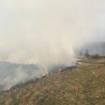 FOTO-VIDEO| Incendiu de vegetație uscată care amenința pădurea și gospodăriile din Cozia