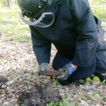 Zeci de proiectile explozive și cartușe, descoperite într-o pădure din Neamț (FOTO)