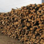 Ioan Deneș : Criza lemnelor de foc provocată de silvicultorii care ”umflă” prețurile în rampă