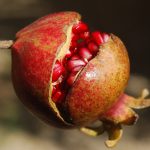 Bilanț DSVSA Ialomița: 50 tone legume și fructe cu depășiri la pesticide de la începutul anului