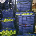 Comerțul ilegal cu legume și fructe, taxat din nou de către polițiștii doljeni