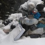 Avocatul Poporului s-a sesizat după ce gunoiul din Izvoarele Sucevei nu a fost ridicat din 2018