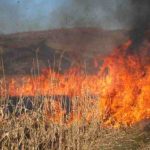 Cinci incendii de vegetație uscată produse în ultimele 24 de ore