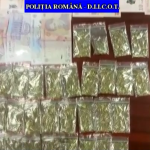 VIDEO| Traficanți de droguri prinși în flagrant la Ploiești. Au fost arestați pentru 30 de zile