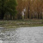 Mâine, o nouă ecologizare a malului tulcean al Dunării