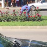 VIDEO/FOTO. Craiovenii fură flori și distrug spațiile verzi