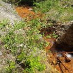 VIDEO| Curge apă sângerie din „măruntaiele” pământului, pe valea Leșnicului
