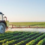 ESTIMARE: Investiții de 300 milioane de euro în agricultura din Transilvania, cu sprijin de la Budapesta