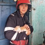 Cuib cu pui de porumbel, dar și trei pui de pisică, salvați din flăcări de pompierii constănțeni
