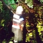 Bilanţ după furtuna de noaptea trecută din Corabia: Zeci de copaci şi stâlpi de eletricitate puşi la pământ; mare parte din oraş, fără eletricitate