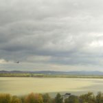 Concurs de pictură în aer liber, pe Faleza Dunării din Galaţi