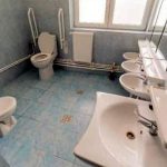 Cu ce se laudă președintele Consiliului Județean Iași: toalete de grădiniță, la comun