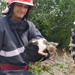 Misiuni de salvare desfășurate în Oradea de către pompierii militari