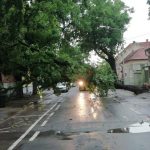 Efecte înregistrate în urma manifestării fenomenelor meteorologice avertizate prin Cod roșu la nivelul județului Bihor