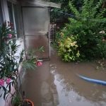 Case și drumuri inundate în județul Teleorman