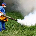 Angajații Primăriei Târgu Secuiesc au început războiul împotriva țânțarilor