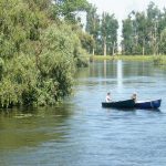 De ce aveți nevoie dacă mergeți la pescuit în Delta Dunării