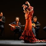 Flamenco ca destin-0169-foto-Paul-Baila